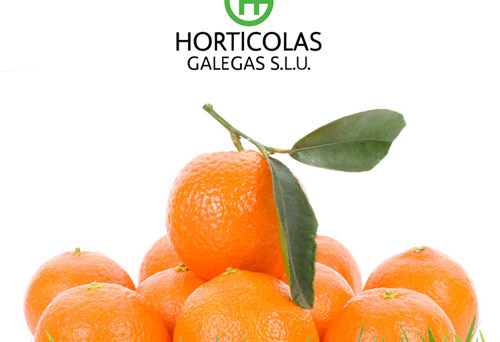 horticolas3
